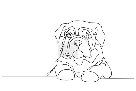 Illustration for Cute little bulldog, one line outline drawing. Dog is Human's friend. Drawing for a tattoo. Pet illustration - Royalty Free Image