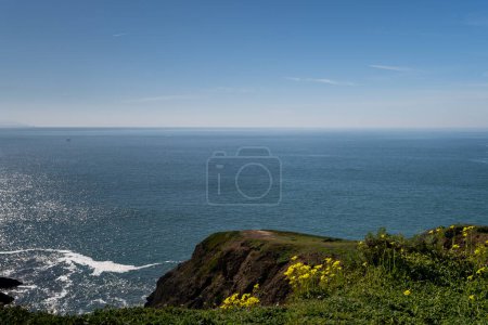 Photo for Patch of yellow Oxalis flowers blooming in Sausalito,  Marin Headlands recreation area, California, USA, on a clear blue sky day copy space , landscape compositio - Royalty Free Image