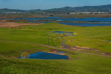 Photo for Pastoral scene of  green fields in Fairfield, California, open space on a clear sky day rainy day featuring a very green pasture, a vernal pool and the Suisun Marsh - Royalty Free Image
