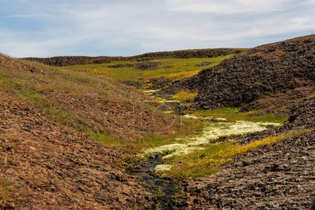 Foto de Creek at North Table Mountain Ecological Preserve, Oroville, California, EE.UU., el agua es reemplazada por una alfombra de flores silvestres amarillas en la primavera, con rocas volcánicas y espacio para copias del cielo azul - Imagen libre de derechos