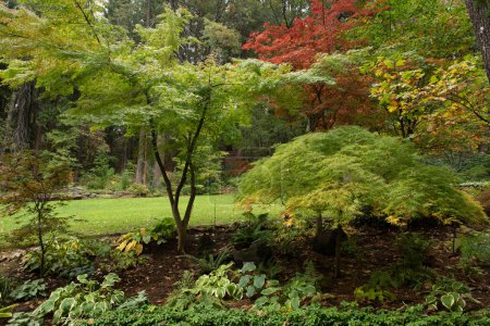 Botanischer Garten Dunsmuir im Herbst mit Herbstfarben  