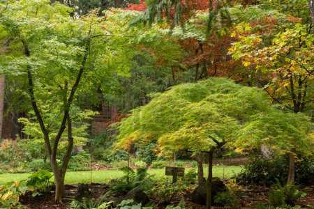 Botanischer Garten Dunsmuir im Herbst mit Herbstfarben  