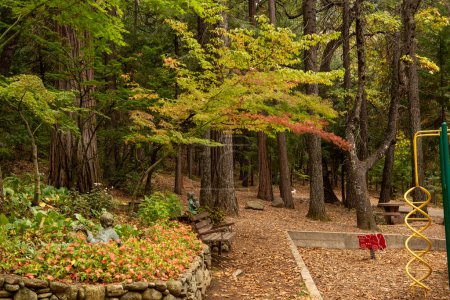 Dunsmuir, Kalifornien, USA. 16. Oktober 2023. Botanischer Garten im Herbst mit Nadelbäumen, Herbstfarben, Bank und Spielplatz
