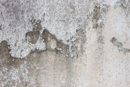 Le vieux mur de ciment Il y a des taches sombres causées par la moisissure.