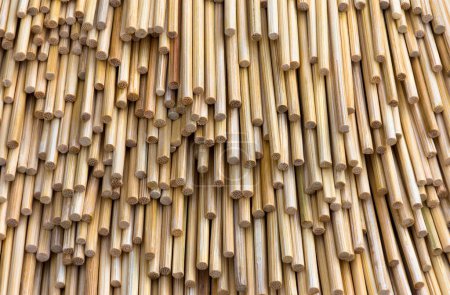 Photo for Many bamboo sticks stacked. Use for a background image that is a straight line pattern. - Royalty Free Image