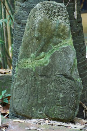 Relief geschnitzte Buddha-Statue auf Zement beschädigt und kaputt neben dem Baum liegend.