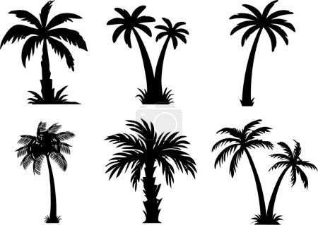 Palmen und Dattelbäume Silhouette. Kokospalmen, Dattelpalmen. Tropische Pflanzen in hoher HD-Auflösung. Poster, Flyer oder Banneridee.