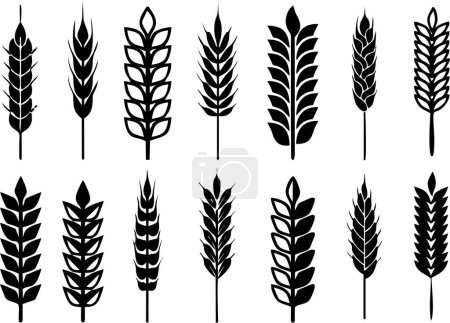 Photo for Wheat barley ears, oat isolated wreaths. Grains graphic, rice or malt icons. Gluten pictogram, cereal silhouette agriculture symbols. Product packing print idea Gluten free. - Royalty Free Image