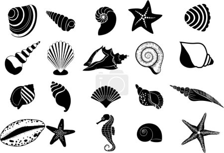Foto de Conjunto de conchas de mar negro e iconos de criaturas marinas sobre fondo blanco - Imagen libre de derechos
