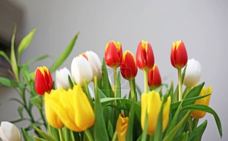 Foto de Colorido ramo de flores de tulipanes - decoración del hogar de primavera - Imagen libre de derechos