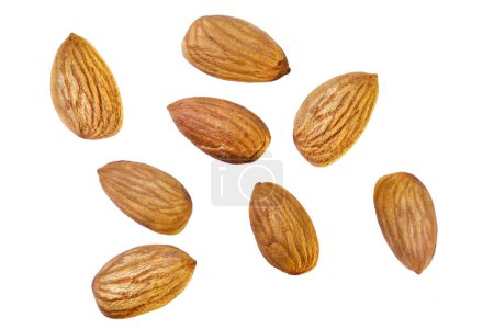 Collection of almonds, isolated on white background or Almond fruit nut isolated and Almond with clipping path. Ripe fresh almond clipping path. Organic fresh almond.