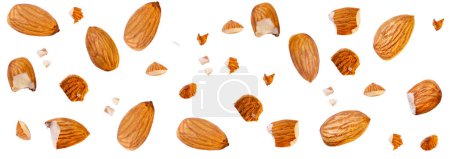 almond Closeup and full almond fly on white isolated with clipping path or piece side view almond cracked macro on white isolated. Almonds is torn to pieces close-up, Peeled almonds whole and pieces