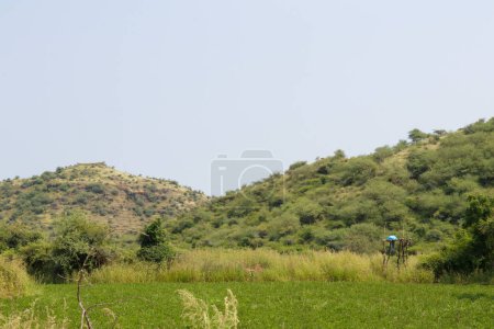 Photo for This image was captured near Junagadh Gir Forest in monsoon time India landscape Post monsoon lush green landscape of Sasan Gir, Girnar hills and the farms in Saurashtra region of Gujarat - Royalty Free Image