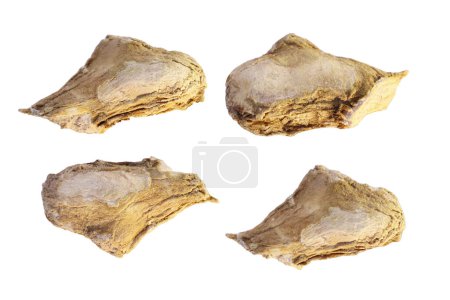 Photo for DRY GINGER MACRO SHOT ON WHITE BACKGROUND or Close up of Dried ginger or Sonth isolated on white. Dry ginger root Dried Organic Ginger or Dry Adrak also known as Sonth in India - Royalty Free Image