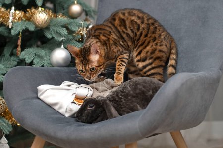 Symbol des Jahres 2023. Chinesisches Neujahr. Ein Hase und eine bengalische Katze spielen auf einem Sessel vor dem Hintergrund eines Weihnachtsbaums. Konzept. Nahaufnahme.