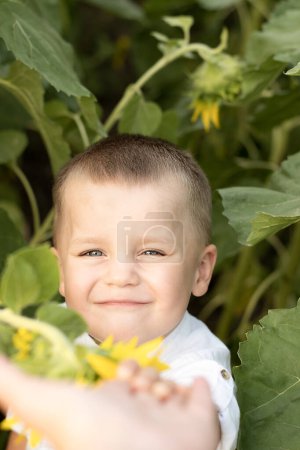 Téléchargez les photos : Garçon au tournesol. Portrait d'un petit enfant heureux et beau, en chemise blanche, 4 ans, en été dans un champ de tournesols jaunes. Gros plan. Concept d'enfance. Le symbole de l'Ukraine. Paisible - en image libre de droit