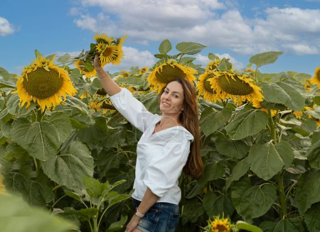 Téléchargez les photos : Concept Ukraine. Symbole de paix. Une belle et heureuse fille caucasienne aux cheveux longs, en chemise blanche, se tient dans un champ de tournesols jaunes contre un ciel bleu. - en image libre de droit