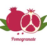 Ripe pomegranate whole, half with green leaves. Illustration in a flat style