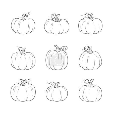 Ilustración de Línea calabazas conjunto otoño diseño. Ilustración de línea vectorial sobre fondo blanco. - Imagen libre de derechos