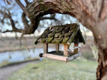 Téléchargez les photos : Une mangeoire à oiseaux en bois suspendue à une branche d'arbre près de la rivière. Concentration sélective de la part de l'alimentateur. Photo de haute qualité - en image libre de droit