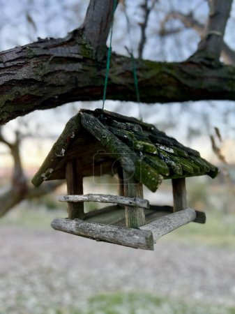 Foto de Un comedero de pájaros de madera suspendido de una rama de árbol cerca del río. Foto vertical. Foto de alta calidad - Imagen libre de derechos