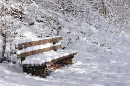 Foto de Un camino va a una distancia en el parque de invierno nevado en el frío día de congelación sin gente. Sendero para caminar en el parque de la ciudad con árboles ramificados desnudos. Bancos de madera cubiertos de nieve. Un lugar para pasear al aire libre - Imagen libre de derechos