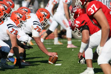 Photo for Wash U (Bears) vs. Carroll University (Pioneers) at Francis Olympic Field, St. Louis, Missouri, USA. Wins 35-23 on Senior Day 2023. American football player/players - Royalty Free Image