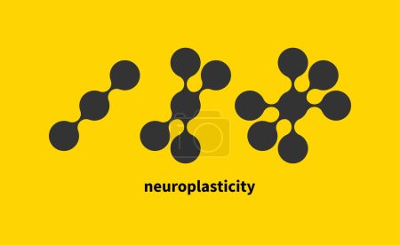 Illustration for Neuroplasticity concept. Transformation, change of neural connections, development and education. Abstract training icon. Vector illustration - Royalty Free Image