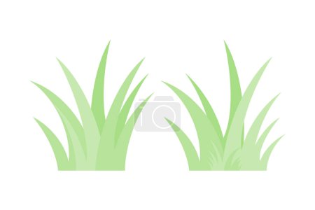 Illustration for Green Grass Border With White Background, Vector Illustration - Royalty Free Image