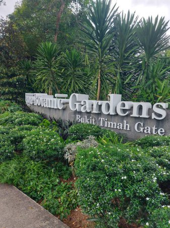 Téléchargez les photos : Jardin botanique, Singapour 14 août 2023 : TheSingapore Botanic Gardens. C'est un jardin tropical vieux de 164 ans situé en bordure du quartier commerçant Orchard Roadshopping à Singapour. - en image libre de droit