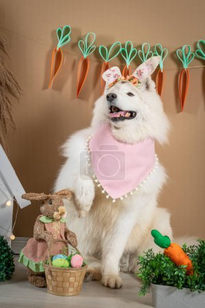 Photo for Dog in the garden - Royalty Free Image