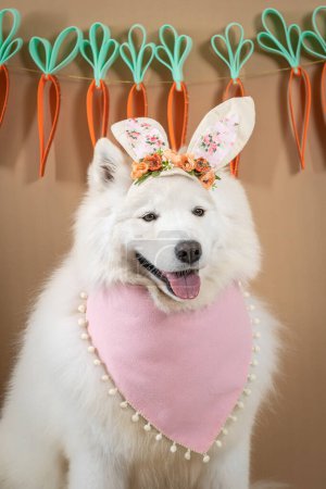 cute dog in a hat with a wreath and a bow