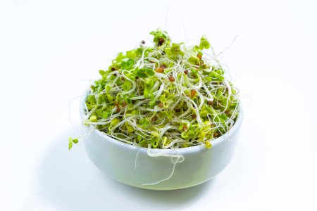 Young green radish microgreen sprouts with roots, grown for food in bowl. Concept of growing greens for healthy eating, vegetarianism, wholesome foods and veganism. White background. Close up