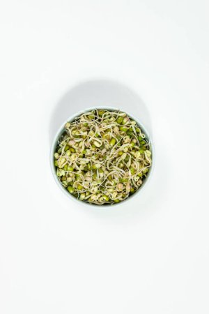 Téléchargez les photos : Bowl of sprouted mung beans (Vigna radiata) with small roots for eating. White background. Close up. Concept of diet, vegetarianism, vegan, healthy products and proper nutrition. Copy space. - en image libre de droit