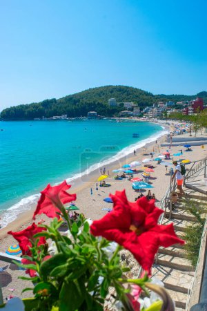 Téléchargez les photos : Himare, Albania - 15 July 2021: Vacationers on beautiful clean sand and pebble beach with umbrellas and sun loungers. Red flowes in foreground. Sunny mountains blue seaside landscape. Ionian Sea. - en image libre de droit