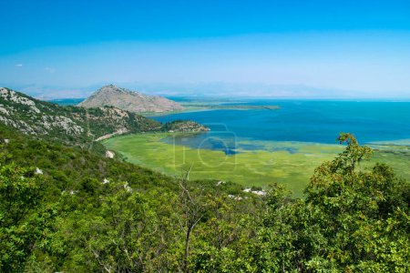 Scenic Viewpoint. Beautiful summer landscape of Skadar Lake with green and blue water, mountains hills. Clear sky. Montenegro. Travel concept.
