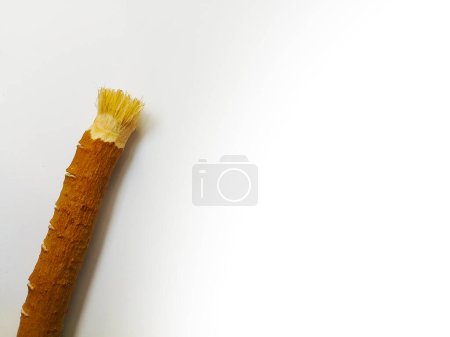 Photo for Miswak on White Background - Islamic Way of Cleaning Teeth - Royalty Free Image