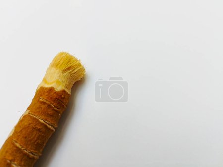Photo for Miswak on White Background - Islamic Toothbrush - Royalty Free Image