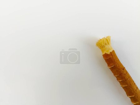 Photo for Miswak on White Background - Toothbrush in Islam - Royalty Free Image