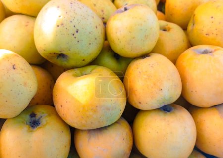 Téléchargez les photos : Groupe sur les pommes jaunes fraîches Contexte - en image libre de droit