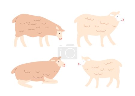 Téléchargez les illustrations : Moutons domestiques debout et couchés. Créature animale avec de la laine bouclée. Animal herbivore qui donne de la laine, de la viande et du lait. Mammifères ruminants isolés sur fond blanc. Illustration vectorielle de bande dessinée - en licence libre de droit