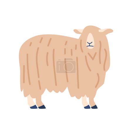 Ilustración de Fluffy, oveja blanca, adecuado para su uso en artículos sobre ganado, producción de lana, o la vida de la granja. Animal blando, dócilmente domesticado para la agricultura, la agricultura o la ganadería. Ilustración de vectores de dibujos animados - Imagen libre de derechos