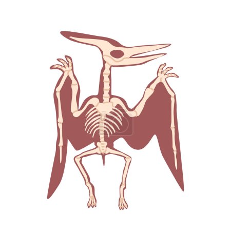 Ilustración de Pterodactyl Dinosaur Skeleton Bones Isolated on White Background. Prehistoric Wild Flying Animal, Ancient Giant Bird of Jurassic Period. Paleontology Reptile Element. Cartoon Vector Illustration - Imagen libre de derechos
