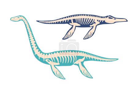 Illustration for Elasmosaurus and Mosasaurus Dinosaur Skeleton Bones Fossils. Isolated Plesiosaur Of Late Cretaceous Period, Underwater Vertebrate Carnivore Reptiles, Palaeontology Animals. Cartoon Vector Illustration - Royalty Free Image