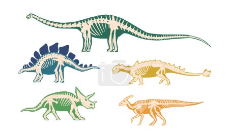 Illustration for Set of Ancient Dinosaur Bones, Skeleton Fossils For Scientific Articles, History Books, And Materials about Discovery Of Uncovering The Secrets Of Ancient Prehistoric Life. Cartoon Vector Illustration - Royalty Free Image