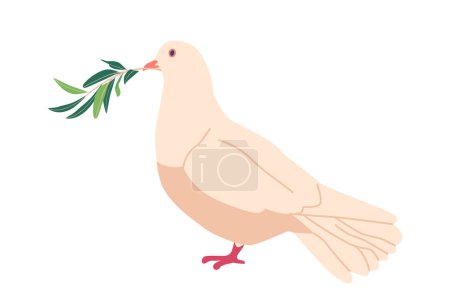 Illustration for Christian Dove With An Olive Branch in Beak Isolated on White Background. Symbol Of Peace, Love And Purity. Holy Bird Represented In Art And Literature For Centuries. Cartoon Vector Illustration - Royalty Free Image