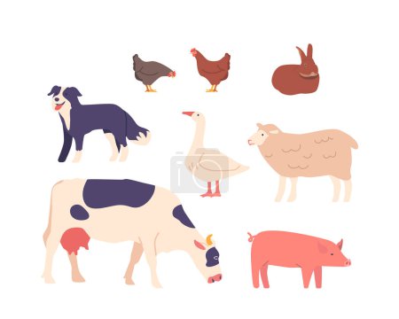 Ilustración de Conjunto de animales domésticos de granja Iconos Vaca, cerdo, oveja y pollo, perro o conejo en el corral. Producción de Carne, Leche o Huevos, Agricultura e Industria Alimentaria. Ilustración de vectores de dibujos animados - Imagen libre de derechos