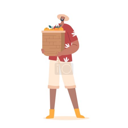 Ilustración de Carácter del agricultor que sostiene la cesta con frutas de naranja recién cosechadas aisladas sobre fondo blanco. Hombre con cosecha de frutas tropicales, cultivo de productos agrícolas ecológicos. Dibujos animados Gente Vector Ilustración - Imagen libre de derechos