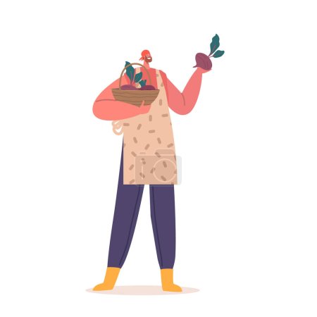 Illustrazione per Allegro contadino personaggio maschile con raccolto di barbabietole fresche vegetali nelle mani isolate su sfondo bianco. Concetto di vendemmia stagionale, lavori agricoli. Illustrazione del vettore della gente del fumetto - Immagini Royalty Free