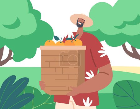 Ilustración de Carácter del agricultor sosteniendo cesta con frutas de naranja recién cosechadas, de pie en medio de un campo verde exuberante. Hombre con productos orgánicos, agricultura o productos agrícolas. Dibujos animados Gente Vector Ilustración - Imagen libre de derechos